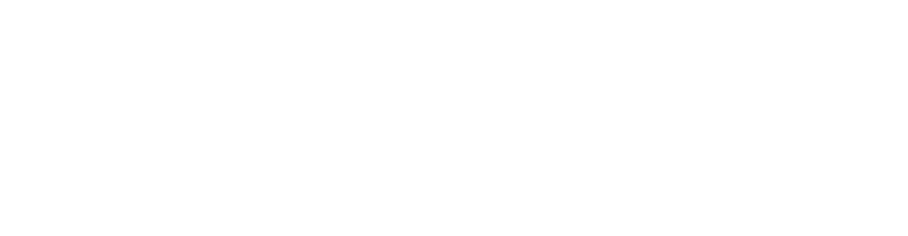 paragon-logo-white