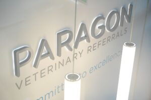 03.11.21 Paragon Action (1 of 448)