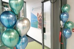 paragon-veterinary-referrals-opens-Its-doors
