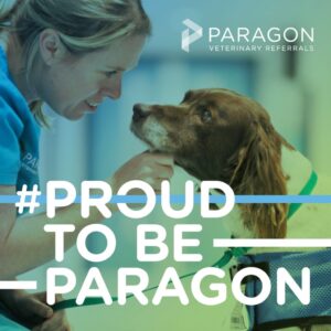 Proud-graphic-1-1024x1024