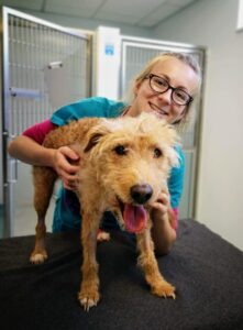 Pet-Blood-Bank-appeal-1-753x1024