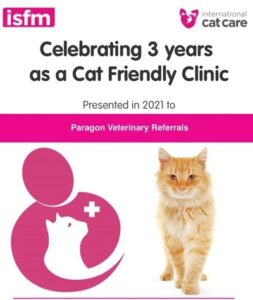 Cat-Clinic-web-feature-image