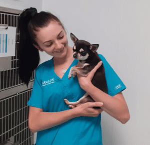 Danielle-White-RVN-website