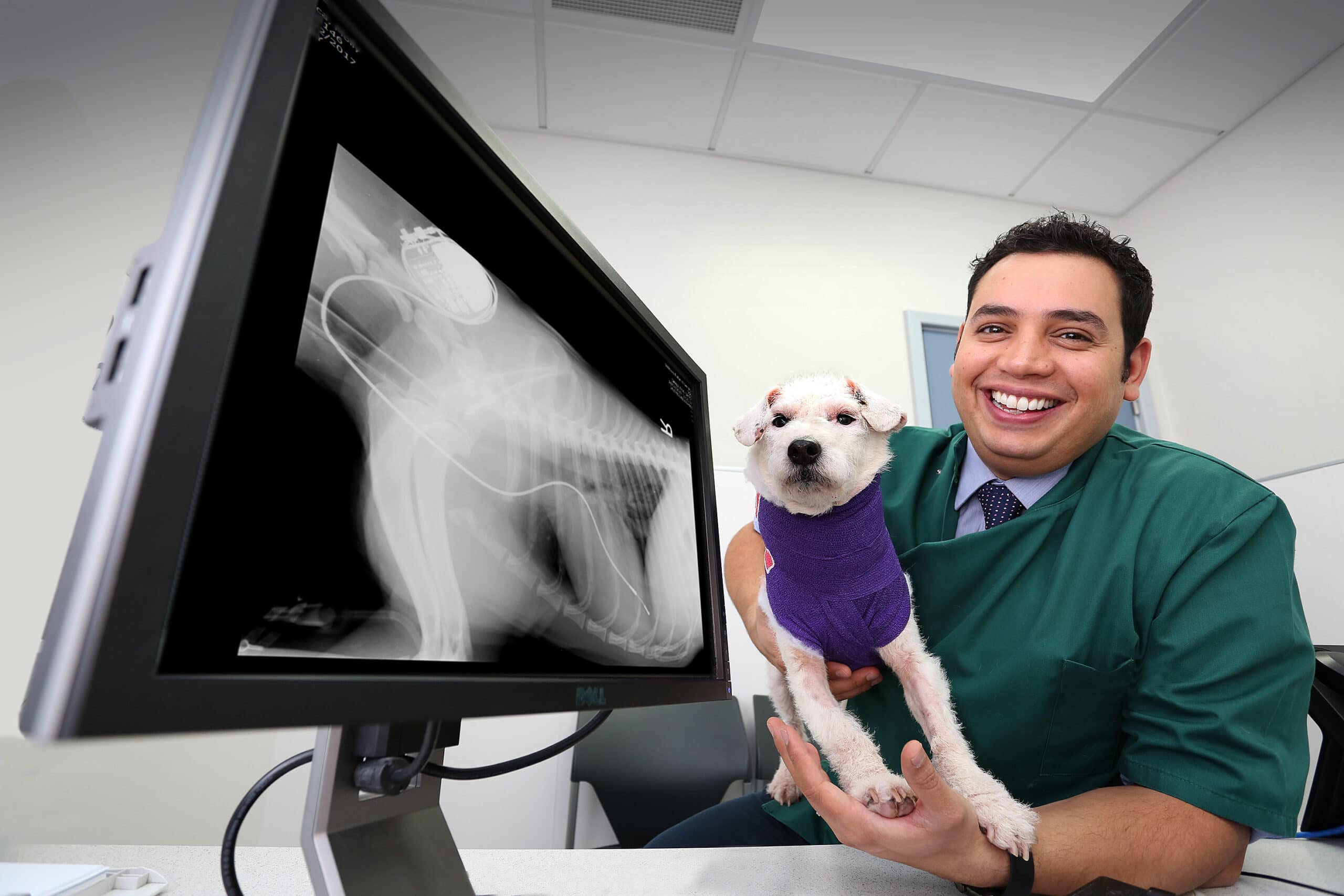 Murmur Talk In Cats & Dogs Paragon Referrals Wakefield