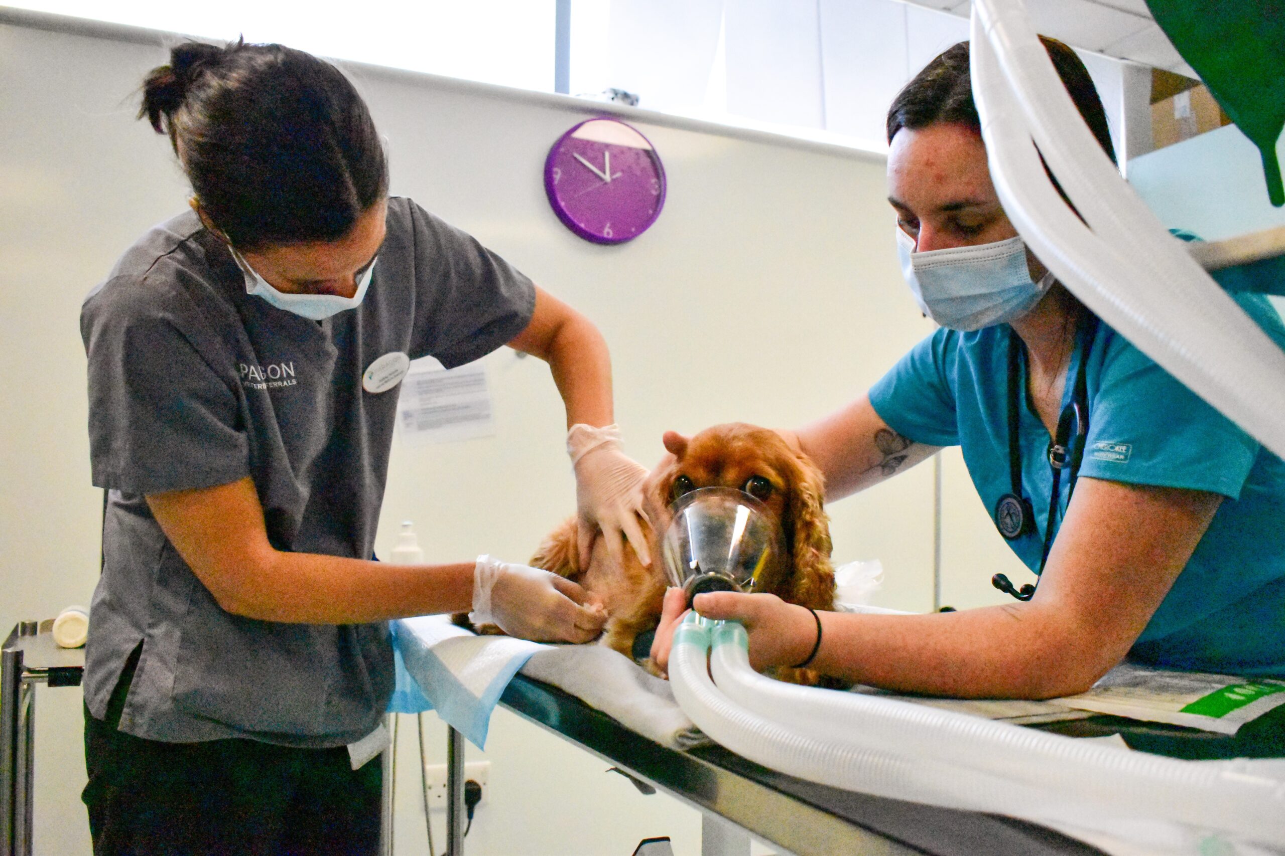 Internal Medicine Paragon Referrals Wakefield