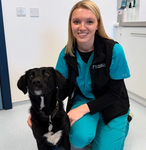 bethany-elite-nurse-paragon-vets