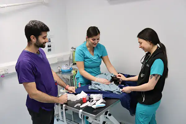 Ophthalmology in action at Paragon Referrals